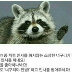 [꼭댓글부탁] 노는게 부담스러운애들있니