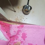 <b>우동</b>먹다남은거침대에쏟음.jpg