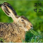 [댓글부탁해] 내일 코<b>필러</b> 진짜 개떨린다