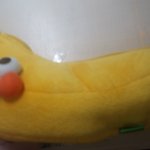 나 판보고 <b>필통</b>샀는데ㅋㅋㅋㅋㅋㅋㅋㅋ