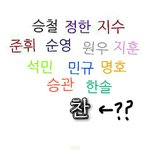 [세븐틴] 세븐틴 멤버하면 떠오르는 색깔