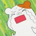 [댓글부탁해] <b>선택지</b>좀 골라줘