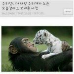 가지고있는 짤 대<b>방출</b>4
