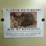 고1때 분위기 어<b>카지</b>