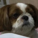 [방탄소년단] 밐무룩,,,,<b>염소</b> 아닌데 나,,,