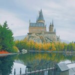 [EXO] 금손엑톡년은 보1<b>아라</b>