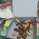와 초코송<b>이양</b>봐봐