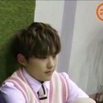 [세븐틴] ㅅㄷ <b>이런</b>팬도 별로인가...?