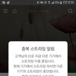 [방탄소년단] 그런데 진짜 짹은 어떡할까