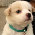 [댓글부탁해] 최강 <b>끔찍</b>한 혐짤푼다ㅋㅋㅋㅋ(혐오주의)