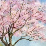 [드루드루와] <b>소장</b>용 배경화면 공유하자