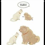 [드루와] 생각해보니 <b>첫</b>사랑이었던적 있냐