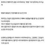 [방탄소년단] 애들 벚꽃글 읽어봤어?
