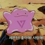 [세븐틴] ㅅㄷ) 아 진짜 미치겠네;;;