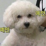 [EXO] 비비가 작작하래<b>자나</b>!!!!!!!