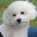 [EXO] 나보고 밥<b>아재</b>라 한 년은 봐라