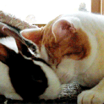 <b>밤낮</b> 바뀐 판녀들 있냐,,?