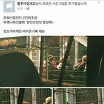 [드루와] 아미들은 그냥 조금이라도 비슷하면 <b>표절</b>이라 말함