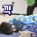 내일 친구집에 <b>자러</b> 간다 꺅