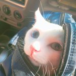 [꼭조언부탁] 남친하고 나이차이 많이나는 편인가요?