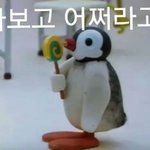 반배정 노<b>꿀꿀</b> 오히려 돼지가 되는 <b>꿀꿀</b>