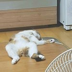 난 새학기날 같이 앉을 얘 없다 쉬<b>발</b>^^...