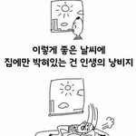 [조언부탁해] <b>미용</b> 자격증 있는 사람!