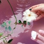 [댓글부탁해] 동성애는 <b>찬반</b>으로 나누는 게 아님