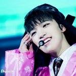 [댓글부탁해] 세븐틴 호시랑 <b>디노</b> 구분 좀