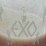 [EXO] <b>딸기</b>쉐이크 만들어서 먹는데 존<b>맛</b>