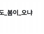 [방탄소년단] 실트박제
