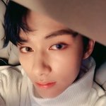 [세븐틴] 주니 웨입오 떴다!!