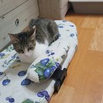 [쁘니단비] 쁘니 <b>단비</b> 학부형 됐어요^^