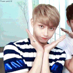 [세븐틴] 너네 갠팬 어케생각해