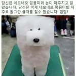 [드루와] ㅁㅊ얘들아 사건<b>터짐</b>(사진ㅇ)