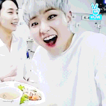 [세븐틴] ㅅㄷ난 뚱찌 조끼터질시절도 좋았어8ㅅ8