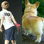 [EXO] 어<b>흑</b>ㅅ1발ㅜㅜㅜㅜㅜㅜ기여워ㅜㅜㅜ
