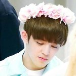 [세븐틴] 캐럿덜아 입덕하고 <b>운적</b>있어?