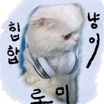 [힙냥이로꼬] <b>로미</b> 프리즌브레이크 출연?!