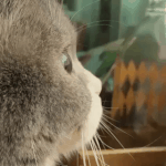 [드루와] 근데 의외로 남돌들 욕 개많이하네