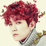 [EXO] ㅈㅂ 골라주라주