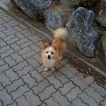 [댓글부탁해] +추가)후기) 야 나어캄;;..