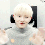 [세븐틴] ㅅㄷ나이니슾흐리갔는데