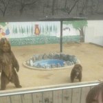 <b>수련</b>회때 가져가면 존ㅣ나좋은거 알려줄께
