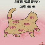 <b>실내</b>화에 이름쓰면 이상하냥