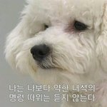 반배정 걱정되는 애들아