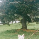[방탄소년단] 안녕하세요~ 머글 입니다!