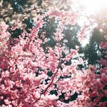 [EXO] <b>미방</b>) 1~9 생각하고 들어오십시오.