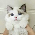 꾸미는거 싫어하는 사람 있냐