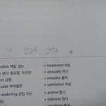 [세븐틴] ㅅㄷ) 나 너무쪽팔려ㅠㅠㅠ